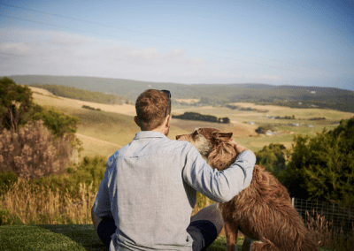pet friendly cottages at the roost